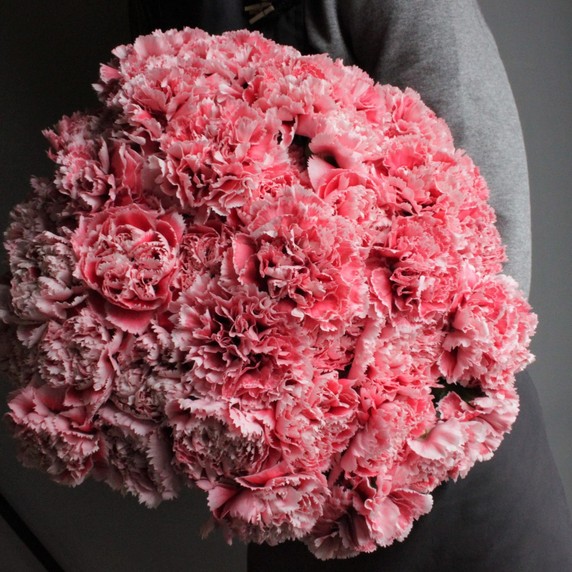 Carnations