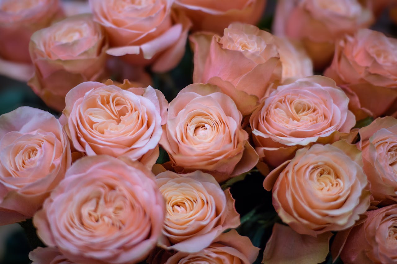 Fresh Flowers